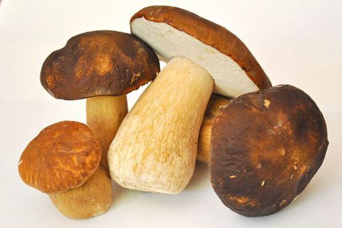 Бульон из грибов: рецепт